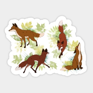 Four red foxes Sticker